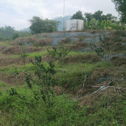 agriculture_product