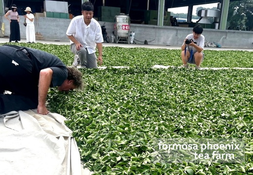 20241015瑞士武術團