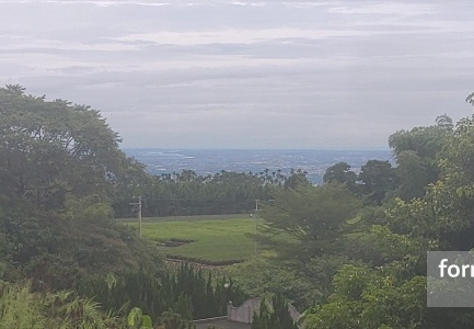 P_20200811_143350_v1