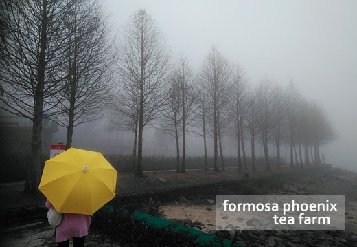 O2Cam_20190224151312