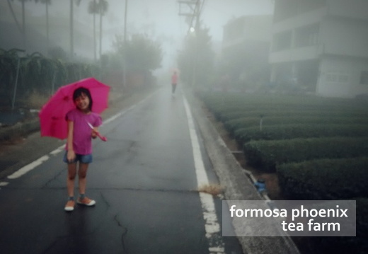 SelfieMaster-20180819-144317482