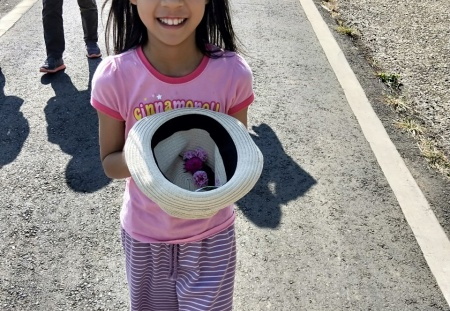 line_261909682044943