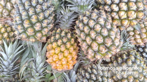 pineapple