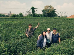 us visitors tea tour
